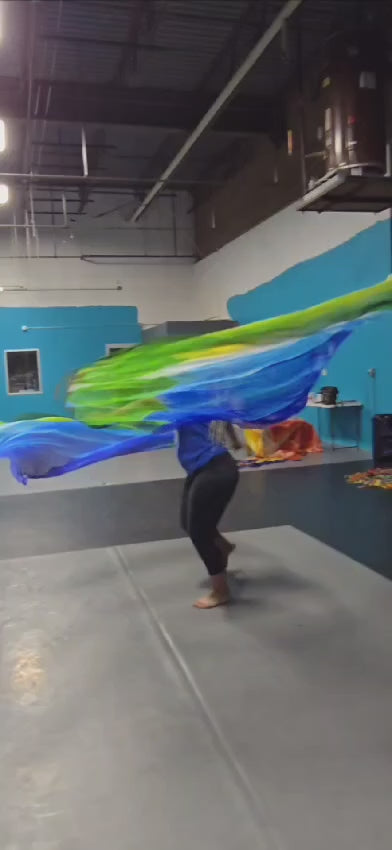 Healing Nations Quill Wings🌎