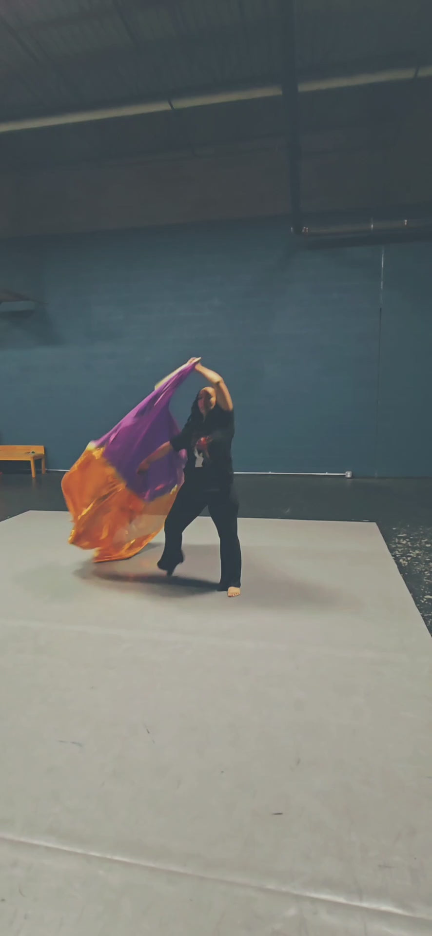 Kingdom Dominion Metallic Quill Wings 👑