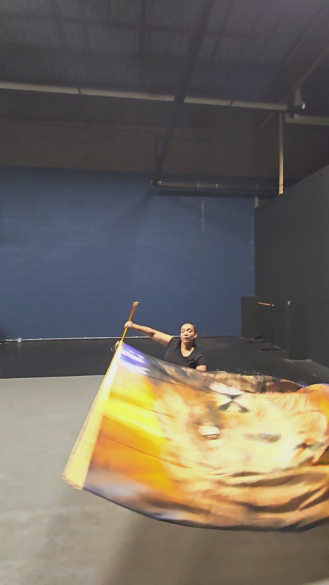 Revelation Lion